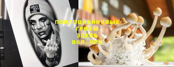 герыч Алексин