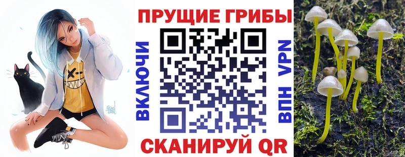 Псилоцибиновые грибы Psilocybine cubensis  дарк нет официальный сайт  Дмитров 